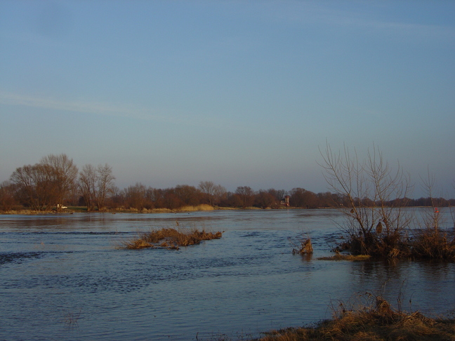 Elbe